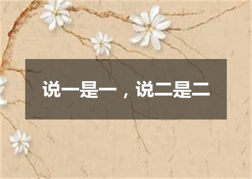 说一是一，说二是二