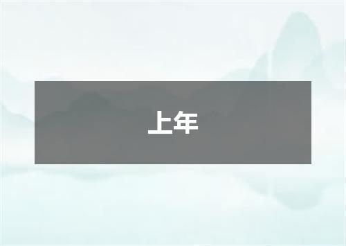 上年