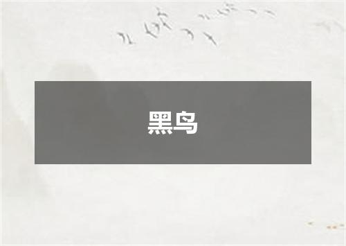 黑鸟