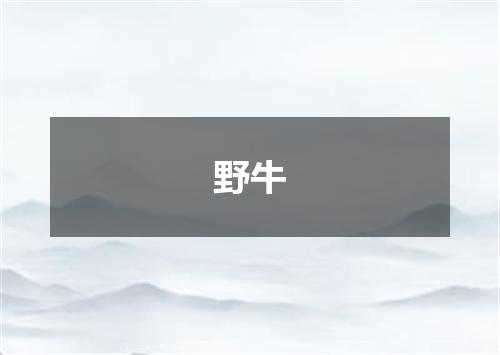 野牛