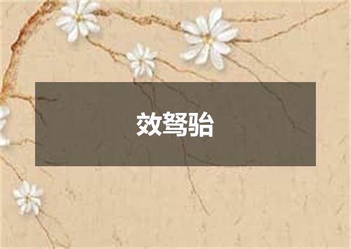 效驽骀
