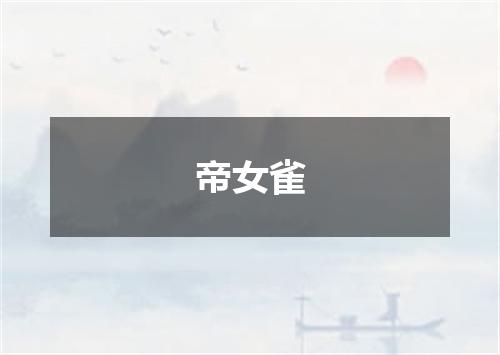 帝女雀