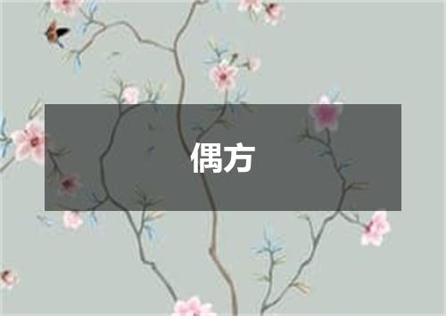 偶方