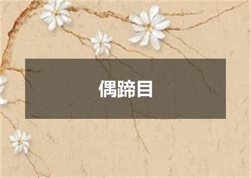 偶蹄目
