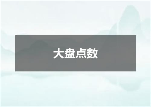 大盘点数