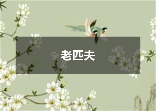 老匹夫