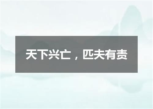 天下兴亡，匹夫有责