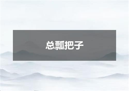 总瓢把子
