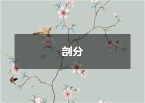 剖分