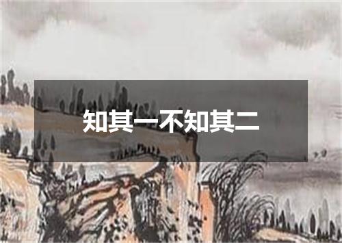 知其一不知其二