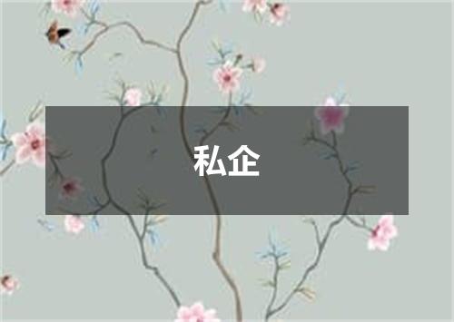 私企