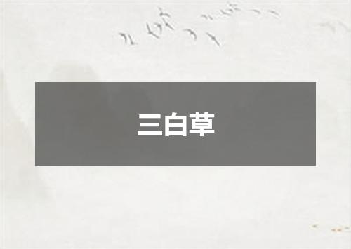 三白草