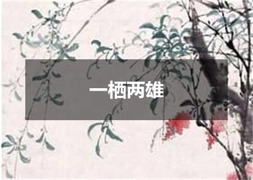 一栖两雄