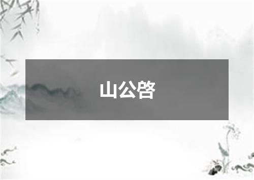 山公啓