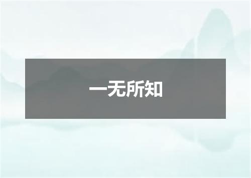 一无所知