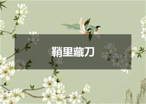 鞘里藏刀