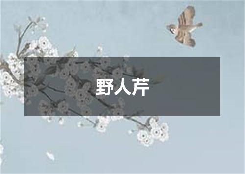 野人芹