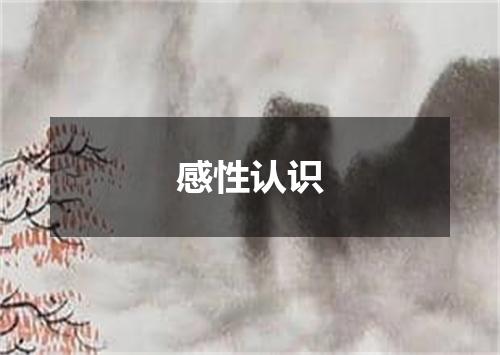 感性认识