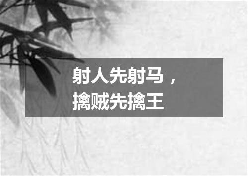 射人先射马，擒贼先擒王
