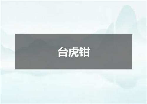 台虎钳