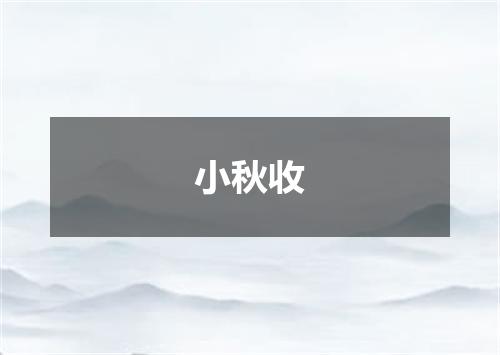 小秋收