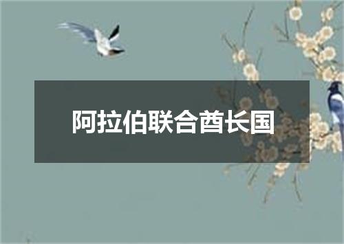 阿拉伯联合酋长国