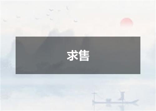 求售