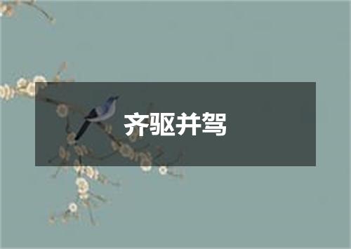 齐驱并驾