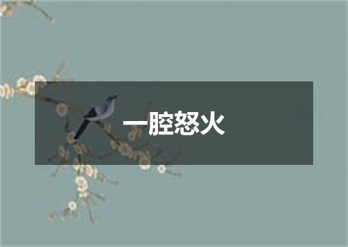 一腔怒火