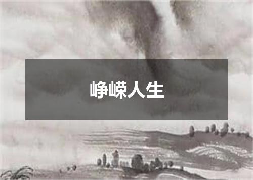 峥嵘人生