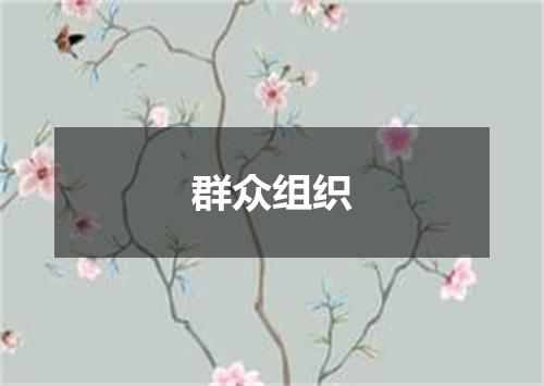 群众组织