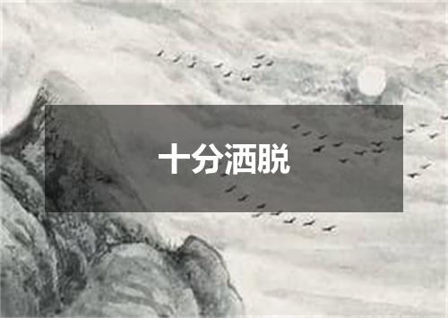 十分洒脱