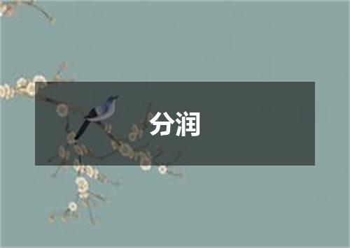 分润