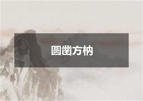 圆凿方枘
