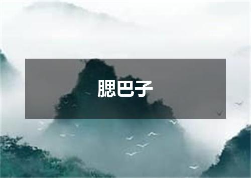 腮巴子