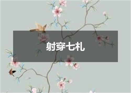 射穿七札