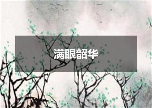 满眼韶华
