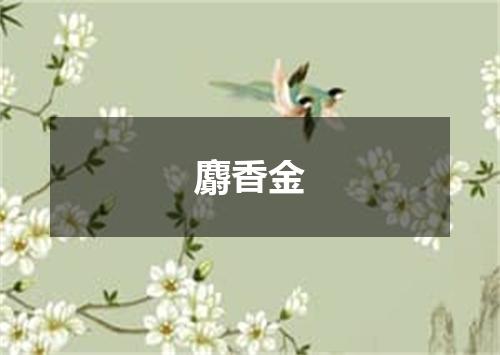 麝香金
