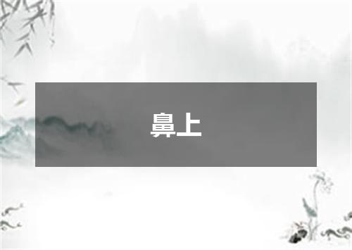 鼻上