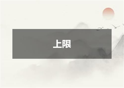 上限