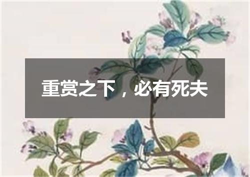 重赏之下，必有死夫