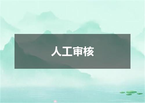 人工审核