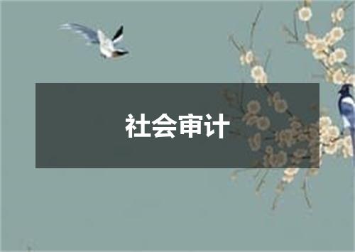 社会审计