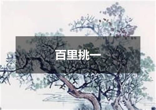 百里挑一
