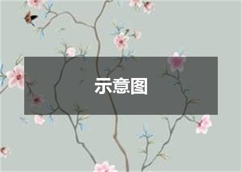 示意图