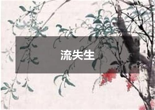 流失生