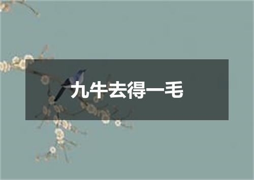 九牛去得一毛
