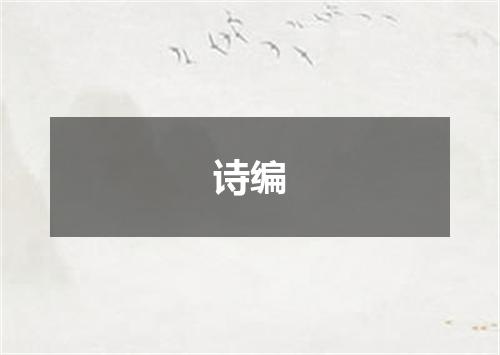 诗编