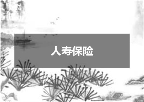 人寿保险