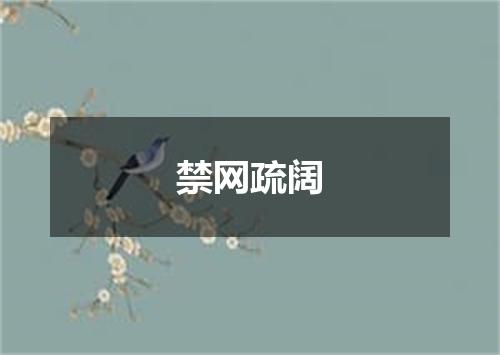 禁网疏阔